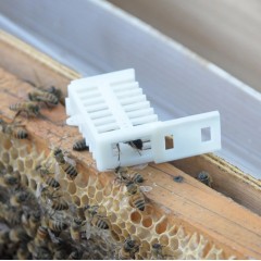 Queen confinement cage for varroa controlling brood break Complementary fight against varroa
