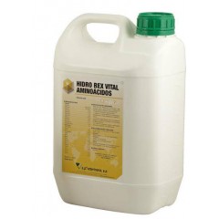 Hidro-Rex Vital Aminoácidos 5 litros