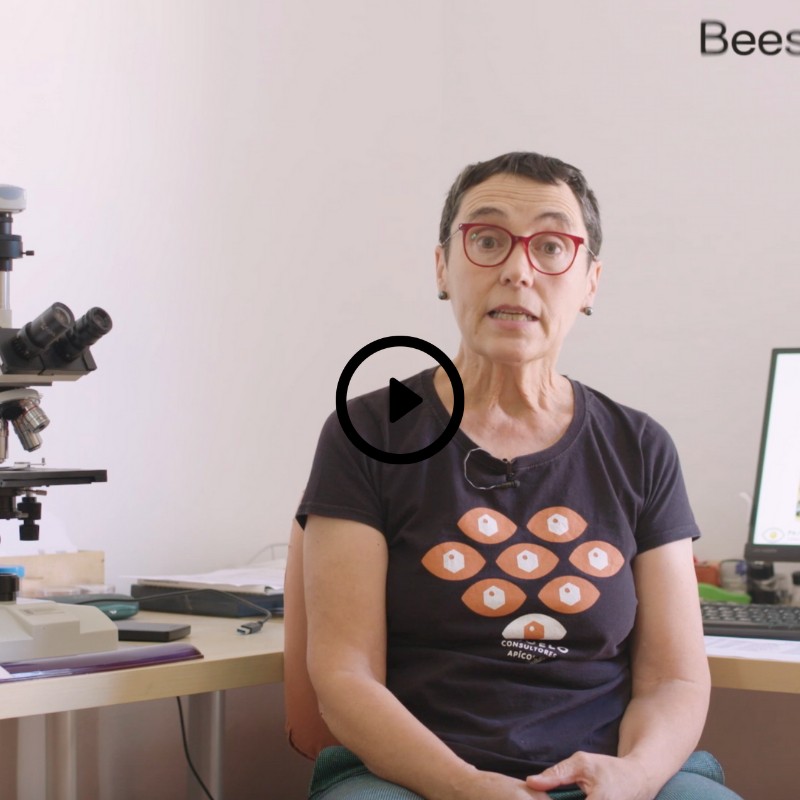 Bienenfutter-Ausbildung (Online)
