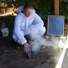 Combustível Rápido de Algodão para Fumigador