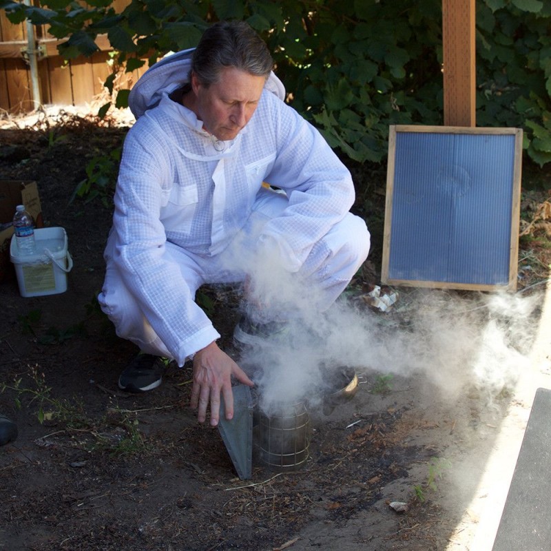 Combustible en coton pour enfumoir Enfumoirs