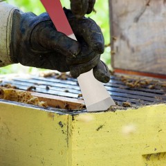 European Hive Tool BEE EQUIPMENT