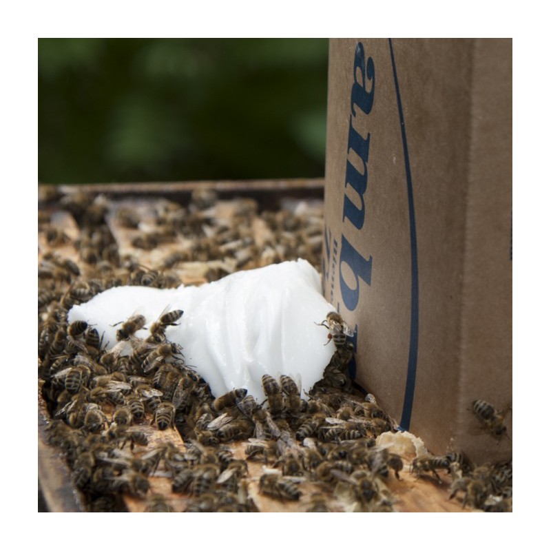 Ambrosia® 12,5kg pienso abejas Mantenimiento