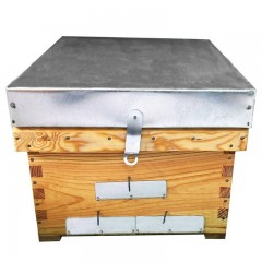 Beehive Langstroth Dominguez® (only brood box) Langstroth Beehives