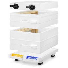 Colmeia Langstroth plástica ANEL ®