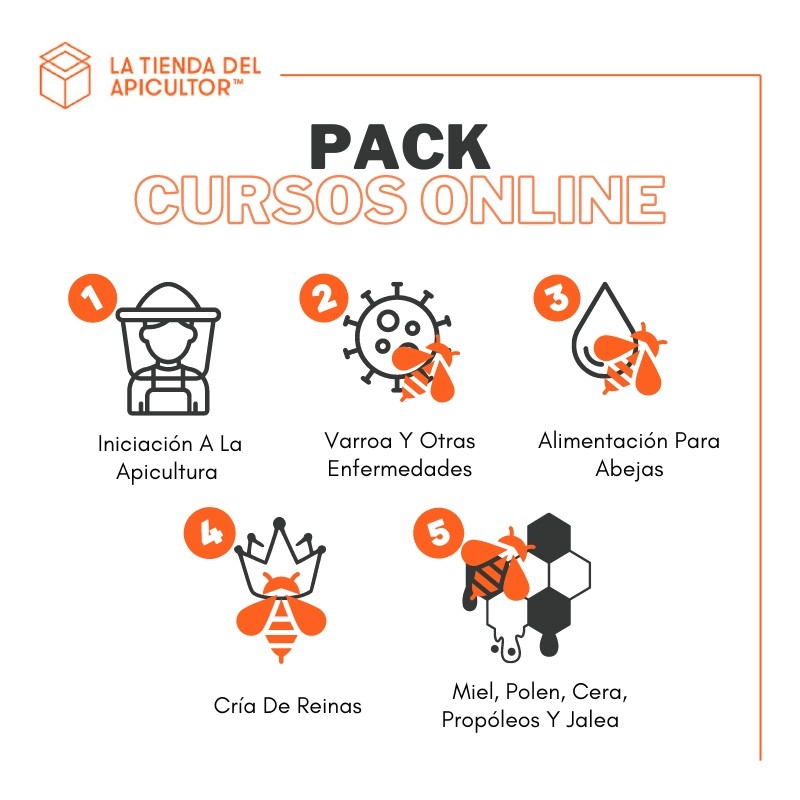 Pack de cours en ligne d'apiculture (en espagnol) Cours En Ligne