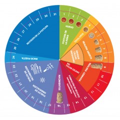 Ruleta Hambly para Cria de reinas Utensilios para cría de reinas