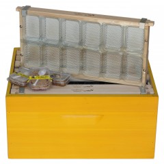 APIBOX HoneyComb system Beehive Accessories