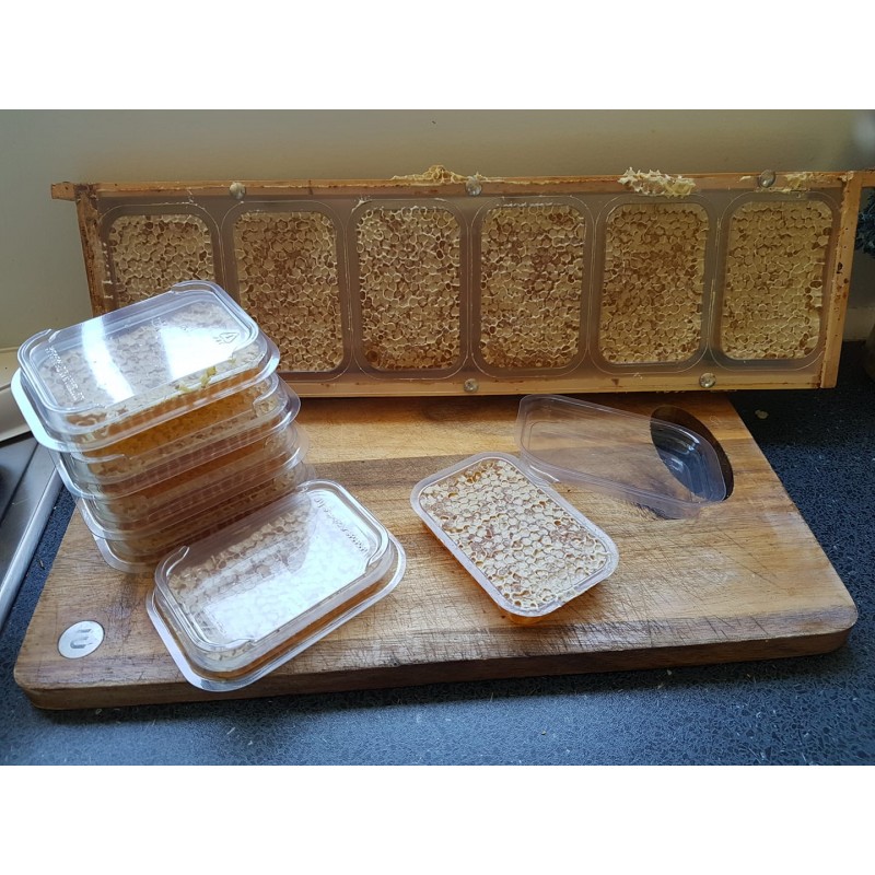 Lot de boîte en plastique APIBOX pour miel en rayon Eléments de ruches