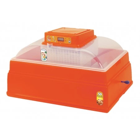 Incubatrice Digitale C54 per Cellette Reali