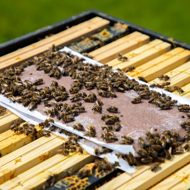 Super-Protein-Pastete für Bienen 450g (12,5%) Dulcofruct® - (Einzelne)