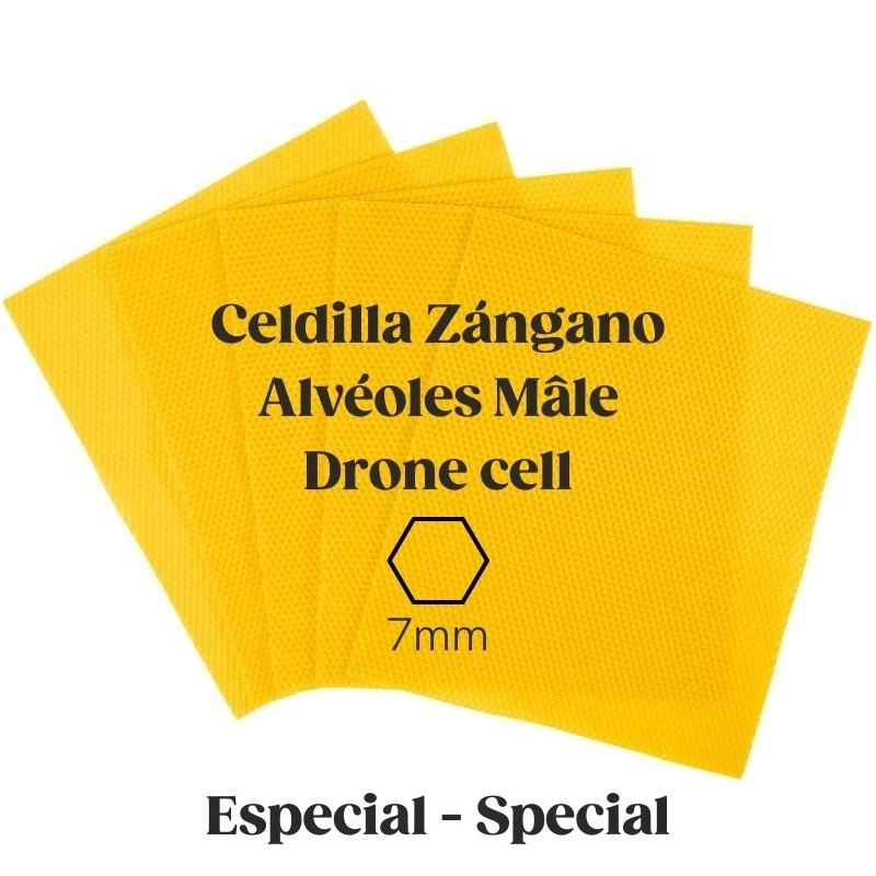 Cera especial celdilla de zángano 1kg CERAS Cera especial celdilla de zángano 1kg CERAS