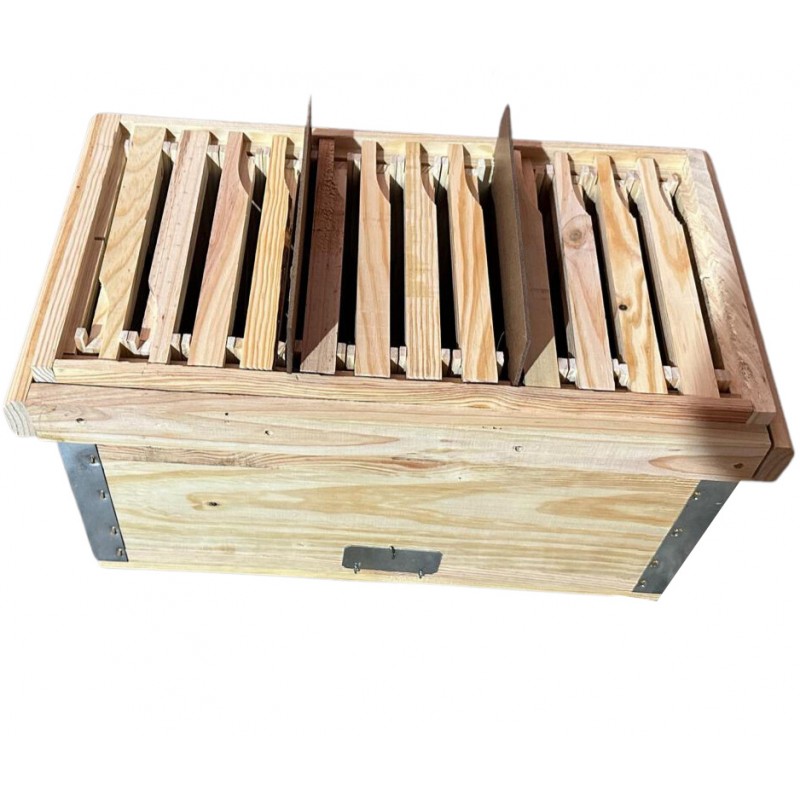 Maxiplus Reversible Nuc to Three Mini-Nuclei Mating Nucs