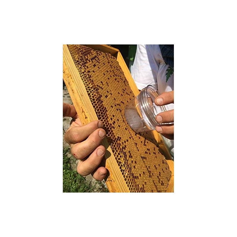 Varroa Tester 3 in 1 ApiTek® Diagnosis of diseases
