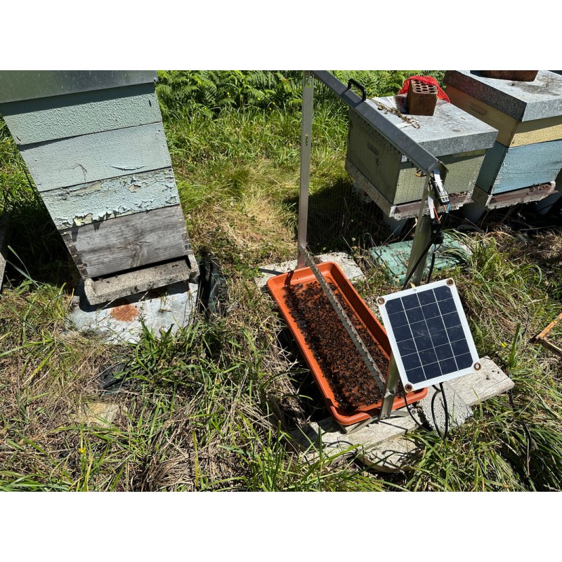 KIT COMPLETO: Arpa + Electrónica + Panel solar + Bandeja Lucha contra la avispa