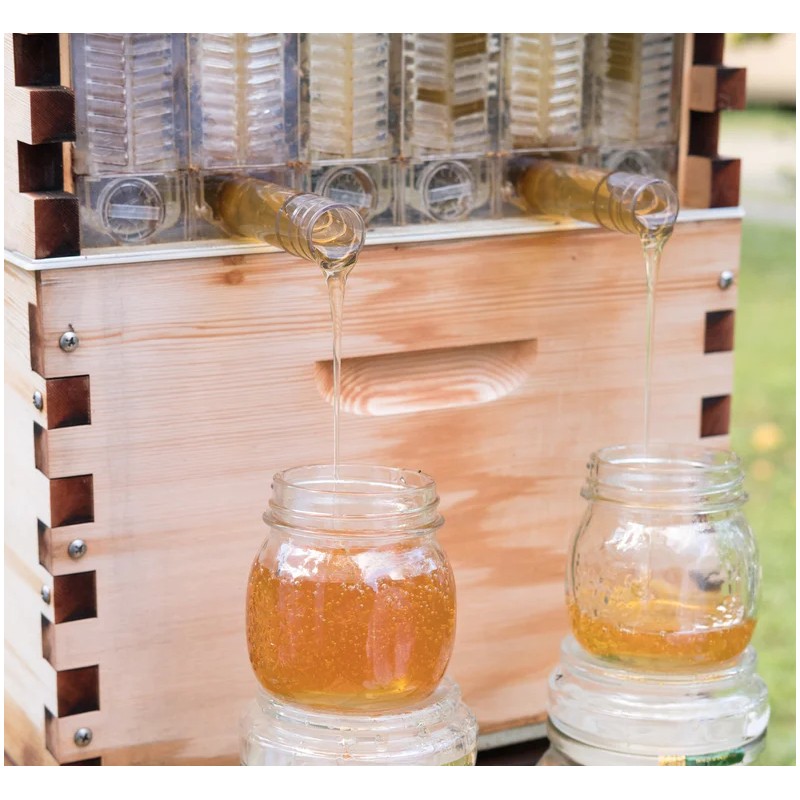 Set of 7 Flow® Hive Frames Special Hives
