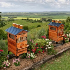 Ruche Flow Hive 2+ avec 7 Flow® cadres Ruches Spéciales