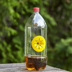 Trampa para avispas adaptable a botellas Lucha contra la avispa