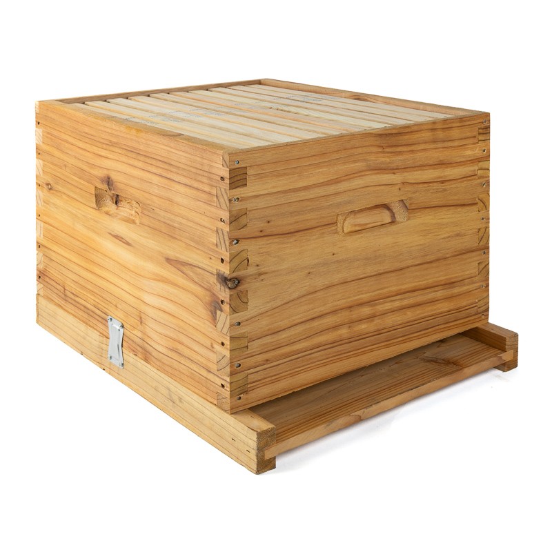 Dadant Blatt Bienenstock mit 10 Rähmchen aus Cryptomeria-Holz