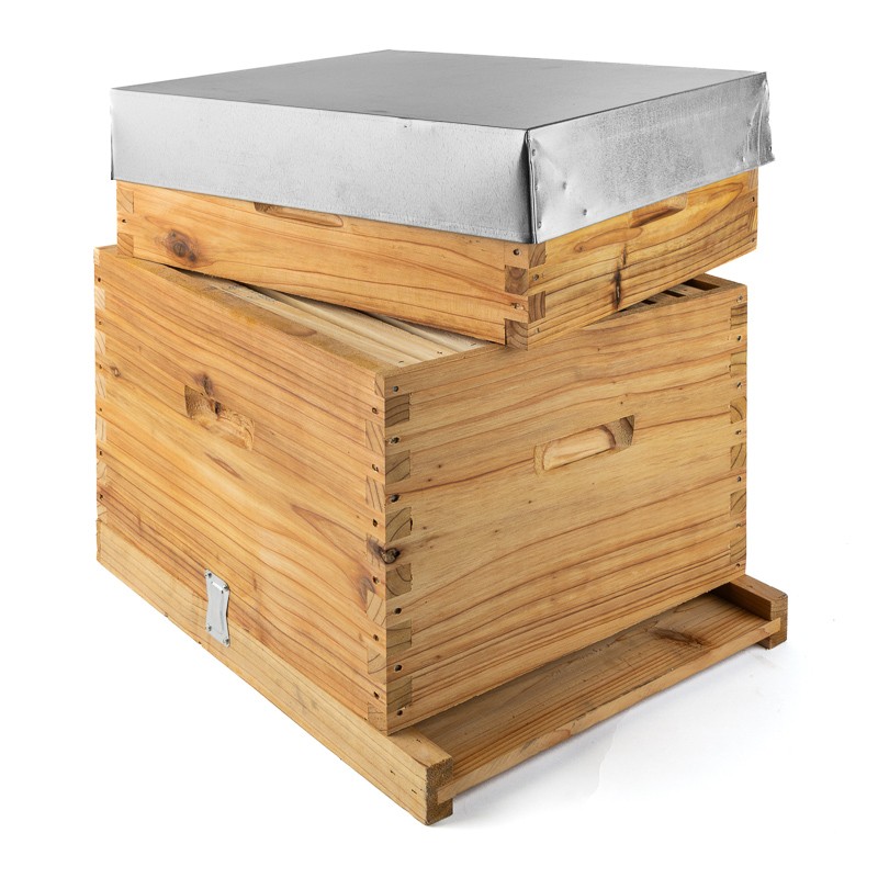 10F Dadant Blatt Hive in Cryptomeria wood Dadant Blatt Beehives