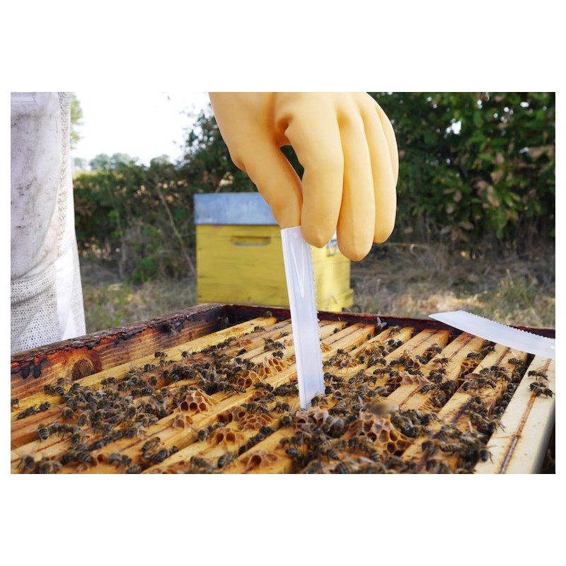APIVAR® varroa Varroa Treatments (with vet prescription)