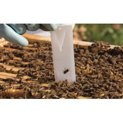 APIVAR® varroa (5 colmeias)