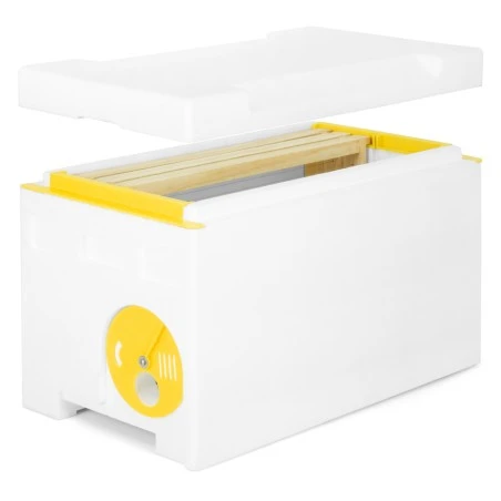 Núcleo 6 quadros Langstroth P-hive®