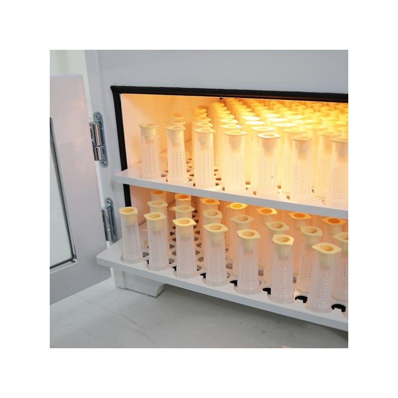 Königinnen-Brutbox 196 (Schlüpfkäfige) Swienty®