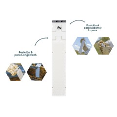 Calistrip® Biox (5 arnia)