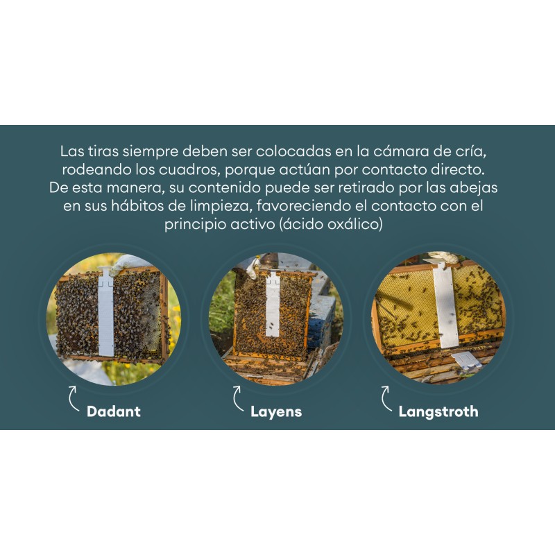 Calistrip® Biox