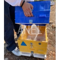 Trampa de Embudo ANEL para Vespa Velutina y Vespa Orientalis Lucha contra la avispa