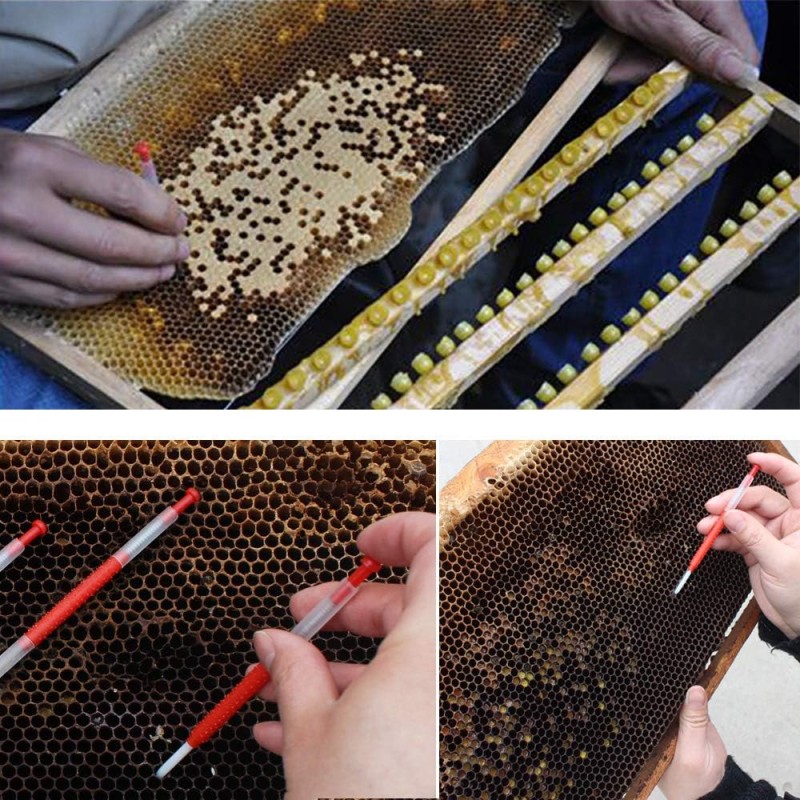 Chinese Grafting tool Queen rearing