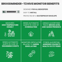 Brut-Sensor BroodMinder-T