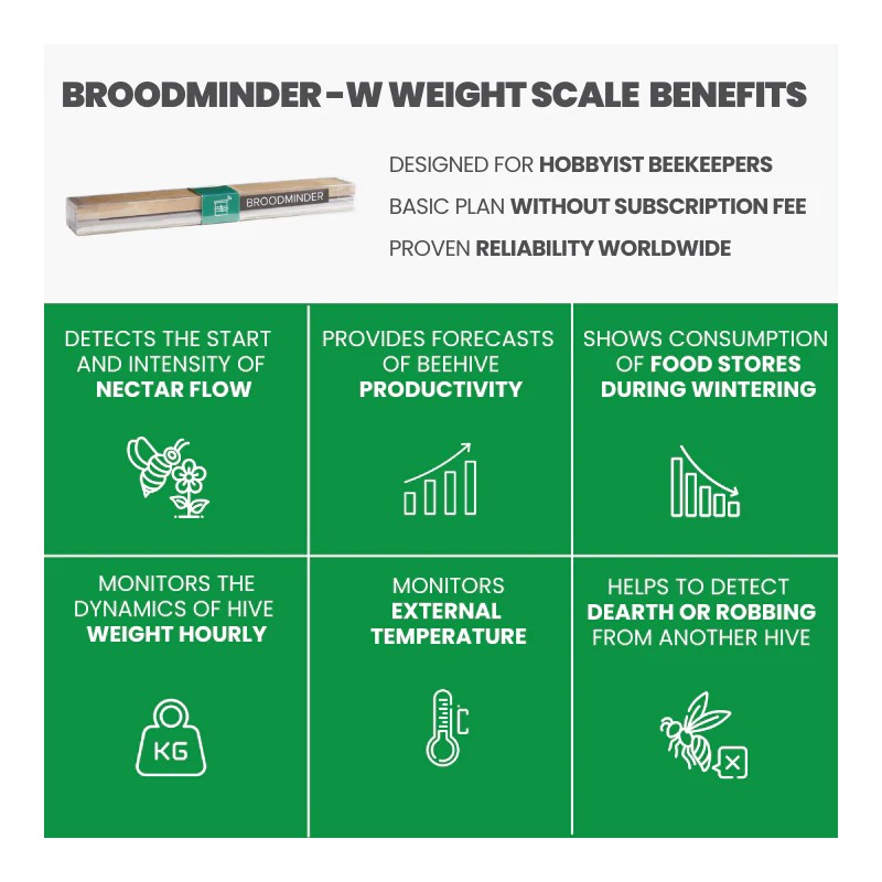 Báscula de madera para colmenas BroodMinder-W Monitorización y seguridad