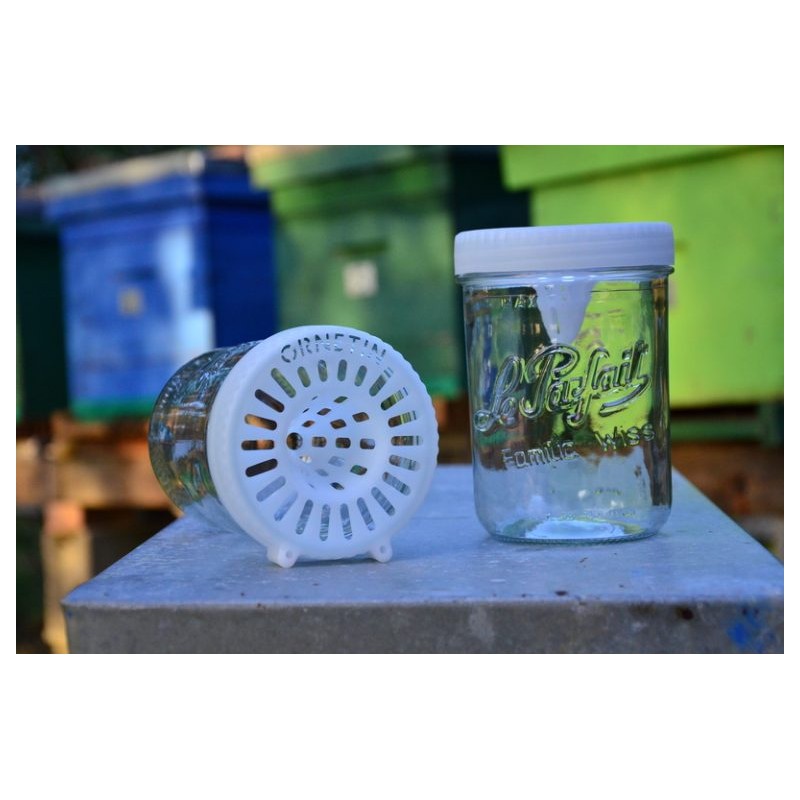 Ornetin® Selective Trap for Asian Hornet Fight against the wasp