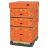 Arnia polistirene Dadant Blatt LYSON Arancione decorata con api