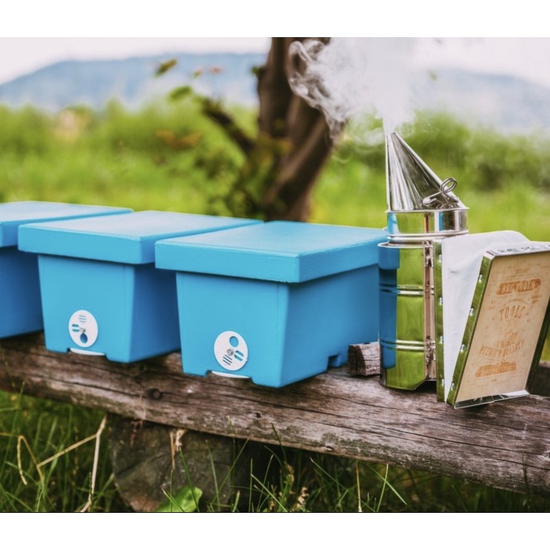 Begattungskästchen aus blauem Polystyrol (4 Mini-Rähmchen)