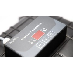 Tragbarer Inkubator 12V für Königinnen – 45 Zellen mit digitaler Steuerung