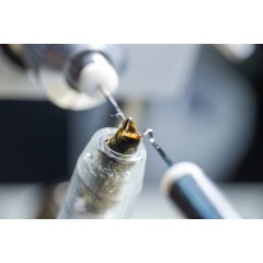 Corso 100% pratico di inseminazione strumentale delle regine