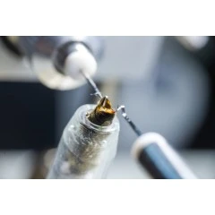 Corso 100% pratico di inseminazione strumentale delle regine