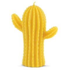 Stampo in silicone – Cactus