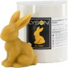 Stampo in silicone - Enrico la Lepre