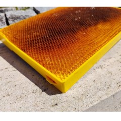 Nordwabe Dadant Blatt Brut