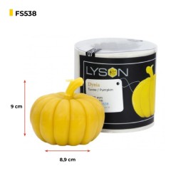 Stampo per candela – Zucca