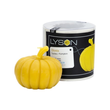 Candle Mold – Pumpkin Candle moulds