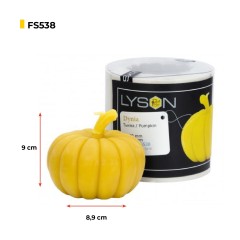 Candle Mold – Pumpkin Candle moulds