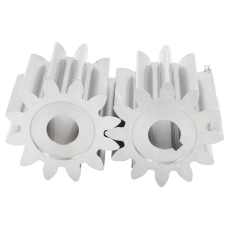 Stainless Steel Gearset for Hot Fill (DANA api MATIC 2000+/3000) Honey filling machines