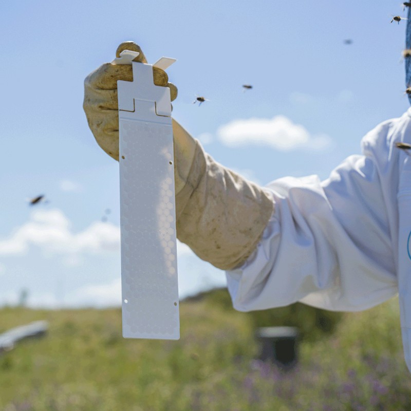 Calistrip® Biox (5 beehives) Varroa treatments