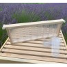 APIBOX Miele in arnia