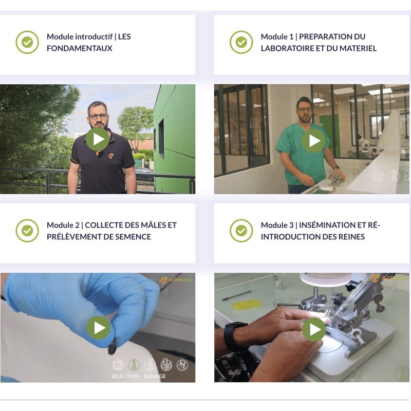 Online Course – Instrumental Queen Insemination (in Spanish) Online courses